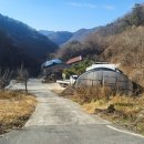충주시 동량면 주택+염소축사 대지+전1203㎡ 1억2천5백만원 이미지