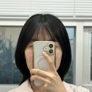 2026년 6월 블로그 : 이직 준비 서류 합격 상견례