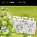 포도원 민박 이미지