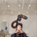 한솔카클리닉 이미지