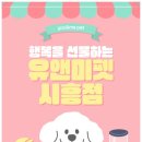 몽슈 펫그루밍샵 | 🐾 시흥시청 고양이분양 후기｜러시안블루와 함께 시작한 새로운 행복