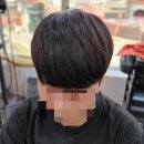 비오미장