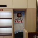 한삼인롯데마트