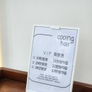 쿠잉헤어 - 달서구 | 대구야간미용실 퍼스널컬러 찾아주는 쿠잉헤어 염색 후기