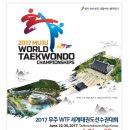 용인대 하나 태권도 이미지