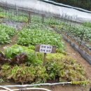 민재농장 이미지