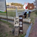 분당구청후문 이미지