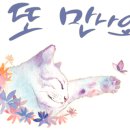 라루체(LaLuce) 이미지