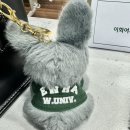 이화여자대학교 데이터사이언스대학원 | 이화여대 데이터사이언스 대학원 직장인 합격후기 (연구계획서, 비전공자 진학)