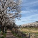 경안천 운학동 이미지