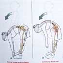 고릴라 멀티짐 이미지