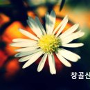 구약성경 히브리어 단어 200개 이미지