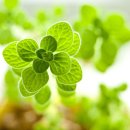 예술감성 공예교실 이미지