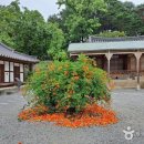 강릉선교장 이미지