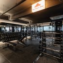 엠피트니스 이미지