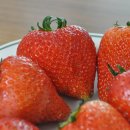 어물농장 이미지