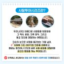 천년의 하루 | 부산출발 사찰투어 후기 ⑥｜화순, 천년 사찰을 걷는 하루