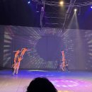 제주아트 서커스 이미지