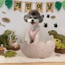 멍멍멍 - 서귀포시 현청로 51 | 멍멍멍애견카페&애견호텔,돌봄 충청남도 애견유치원 다녀왔는데 와.. 정말 만족스러웠어요