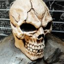 산속비버스 이미지