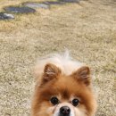 신장동물병원 이미지