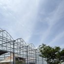 영신농장-1 | 두드림농장 | 포항 아이랑 가볼만한 곳, 포항 동물 체험, 토끼 먹이주기, 포항 미니 동물원