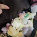 뽑기명당 이미지