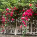 옥계북로3길-3 이미지