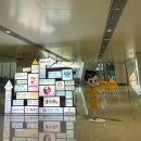 세미컴인천 | 인천 베이징 다싱 경유 런던 남방항공 후기 CZ316 CZ673 ✈️
