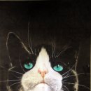 광산구-129 이미지