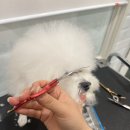 마이뷰티독 스타필드 부천점 이미지