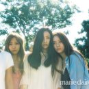 더마리 이미지