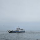 꽃사슴 민박 | 덕적도 소야도 굴업도 2박3일 국내 가족 여행-굴업도 편