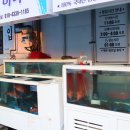 속천수산 | 진해 횟집 속천수산 가성비 최고 추천 포장 후기