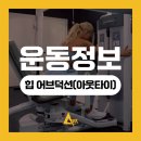 아리테휘트니스 이미지