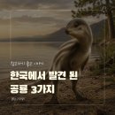 해남우항리공룡화석지 | 한국에서 발견된 공룡이름 총정리 한반도가 공룡 낙원이었던 결정적 증거