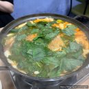 서여사네 이미지