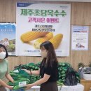 제주특별자치도청 이미지