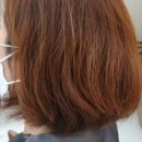 노벨리아 헤어 | 강서구 마곡 볼륨매직 내돈 내산 후기 #노벨리아헤어