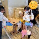 안녕아가 이미지