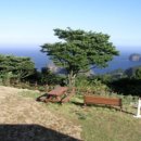 석포2교 이미지