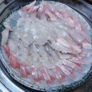 동서활어횟집 | 시장, 동구시장 가성비 1등 횟집 모듬회 소 3.5만원 활어회 전문 맛집 &#39;동서활어회&#39; 내돈내산 솔직후기]
