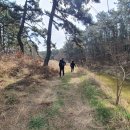 당암리 관광안내소 이미지