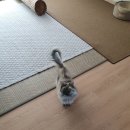 소사로748번길 이미지