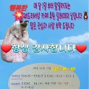 궁금 하시 원님들 계셔서 카페 (8월)후원 방 열어 봅니다 이미지