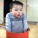 응도