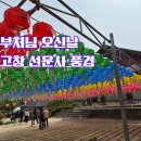 부처님 오신날 선운사 풍경, 연등과 소원등 가득했던 고창 선운사 나들이 후기