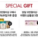 행텐주니어뉴코아
