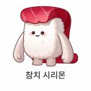 비쥬얼라이트