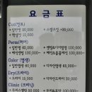 컬러디멘션 그린점